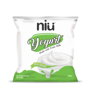 Yogurt 500 gms pouch pack